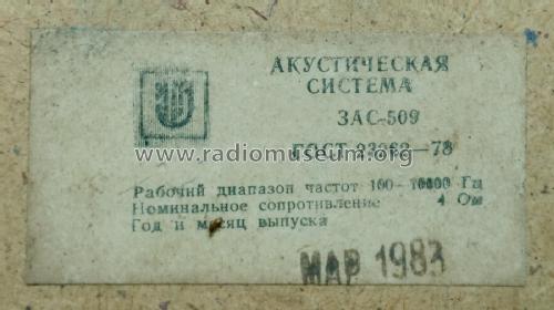 Акустическая система - 3АС-509 Acoustic system - 3АS-509; Izhevsk Radio Works (ID = 2281216) Speaker-P