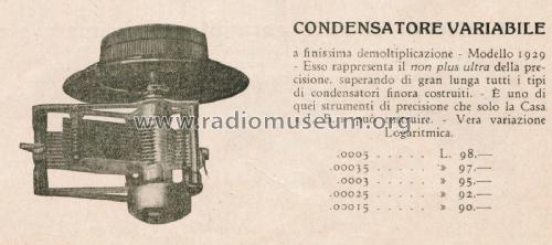 Variable Condenser 1929; Jackson Bros. London (ID = 2695565) Radio part