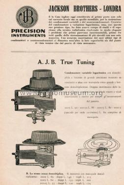 Variable Condenser AJB True Tuning; Jackson Bros. London (ID = 2695570) Radio part