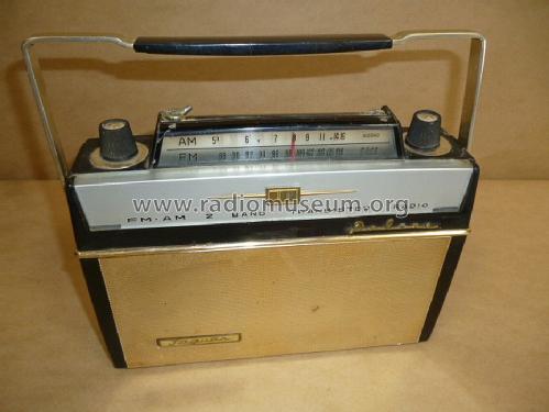 FM-AM 2 Band Transistor Radio Deluxe CFM-1000; Jaguar Nasco (ID = 1224025) Radio