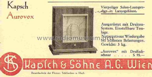 Vierpoliger Salon-Lautsprecher Aurovox Katalog Nr. 10044; Kapsch & Söhne KS, (ID = 817783) Radio