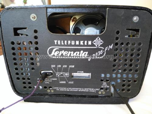 Serenata U-2036-FM; Telefunken (ID = 2034892) Radio