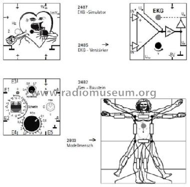 Lectron Ausbau-System Neurophysiologie I 1108; Lectron GmbH; (ID = 1056680) teaching