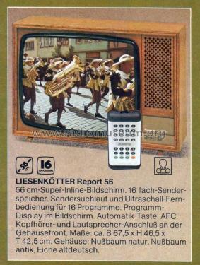 Report 56 ; Liesenkötter, (ID = 1763752) Television