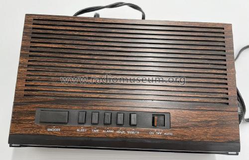 FM-AM Electronic Clock J202B; Lloyd's Electronics; (ID = 2909206) Radio