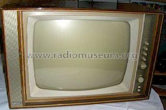 Armada 53 007; Loewe-Opta; (ID = 243405) Television