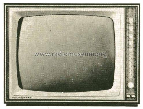 Atlas 43 010; Loewe-Opta; (ID = 325462) Television