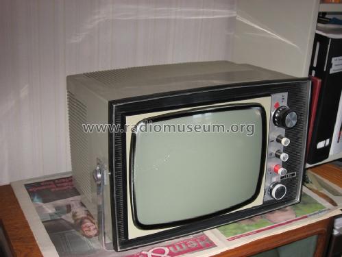 LT11F01; Luma Elektronik AB , (ID = 1413940) Televisore