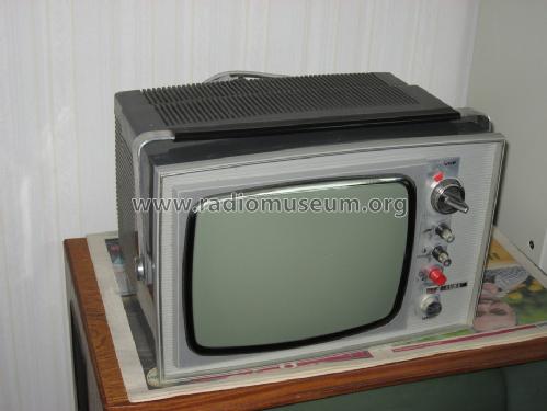 LT11F90; Luma Elektronik AB , (ID = 1413937) Télévision