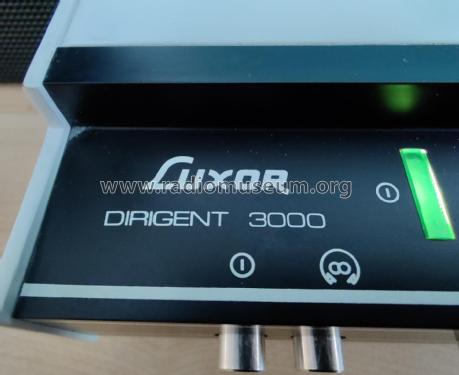 Dirigent 3000 ; Luxor Radio AB; (ID = 2830149) Radio