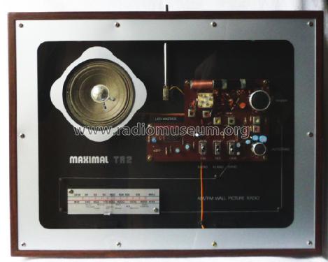 AM/FM Wall Picture Radio TR2; Maximal Marke? / (ID = 2345066) Radio