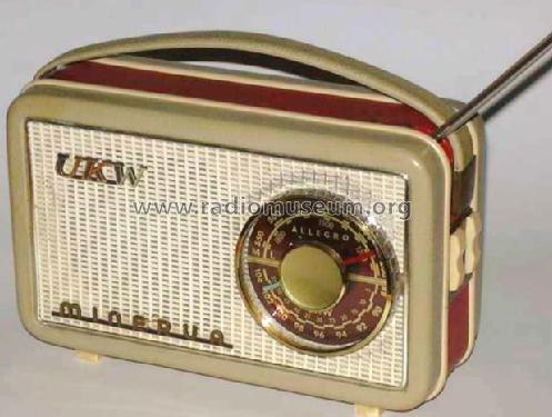 UKW Allegro 621; Minerva-Radio (ID = 1054602) Radio