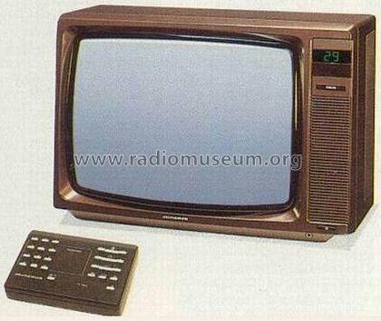 T-2001TP; Minerva-Radio (ID = 809151) Television