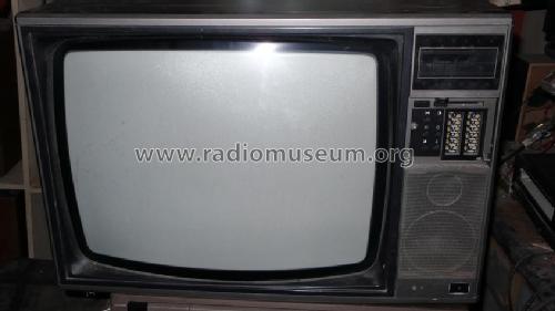 CT2033EP; Mitsubishi Electric (ID = 1623928) Television