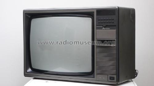 CT-2023EP; Mitsubishi Electric (ID = 1640860) Television