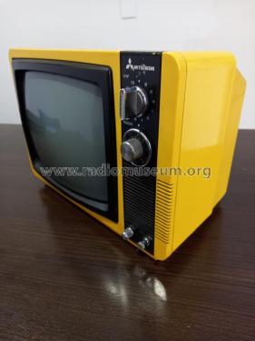 B/V TV Receiver with FM/AM Radio BB-1206K; Mitsubishi Electric (ID = 2686882) Fernseh-R