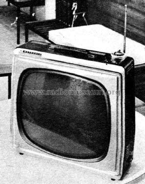 17P6-2 ; Motorola Inc. ex (ID = 2093502) Television