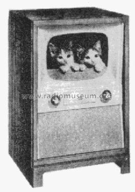 Y17K17 Ch= TS-402Y; Motorola Inc. ex (ID = 1084316) Televisión