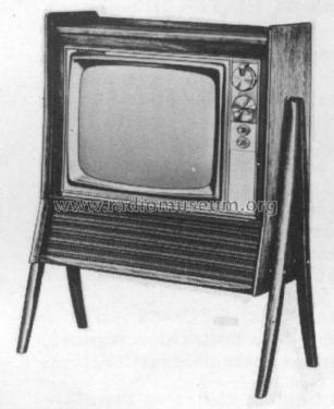 Y19K14W Ch= TS-435Y; Motorola Inc. ex (ID = 1446387) Television