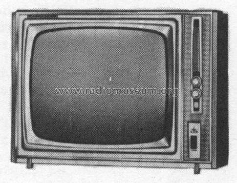 Y19T1-4 Ch= TS-435Y; Motorola Inc. ex (ID = 1448454) Television