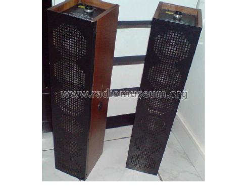 Gruppenstrahler ITS50/1; Musikelectronic (ID = 341467) Speaker-P