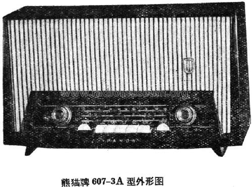 Panda 熊猫 607-3A; Nanjing 南京无线电厂 (ID = 802006) Radio