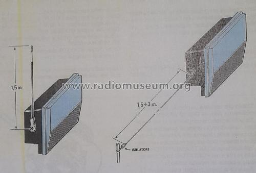 Antenna attiva da 150 cm LX 1077; Nuova Elettronica; (ID = 2886961) Antenna