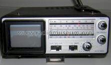 Mini-Fernseher & Radio TVR-7120; Orion Electric Co., (ID = 181651) TV-Radio