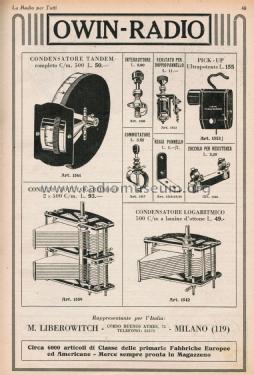 Tonabnehmer 1553; Owin; Hannover (ID = 2559003) Microphone/PU