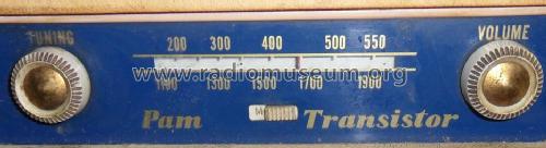 2 Band Transistor Radio TB60; Pamphonic (ID = 1475066) Radio