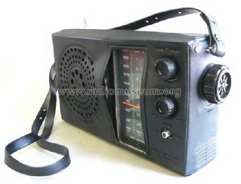 National Panasonic 3 Band Super Sensitivity R-304; Panasonic, (ID = 1611670) Radio