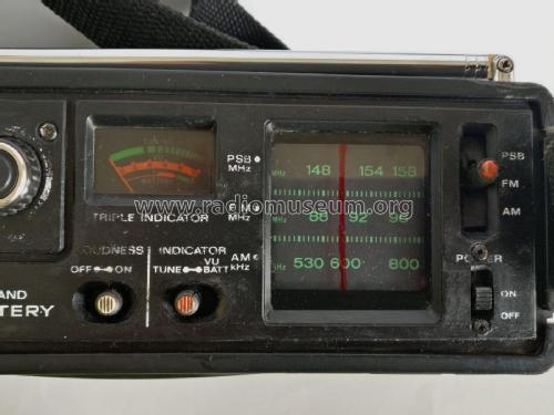 Panasonic PSB/FM/AM 3-Band Radio RF-888 / Tech 800; Panasonic, (ID = 2292379) Radio