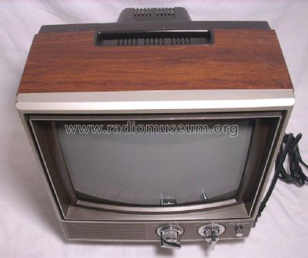 Color TV CT-1110D; Panasonic, (ID = 1174696) Televisión