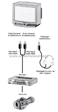 Colour Television TX-21S4TP; Panasonic, (ID = 1081289) Television