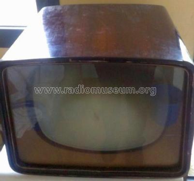 PYE Modelo Nacional X-717-E; Payma Industrias (ID = 2530100) Television