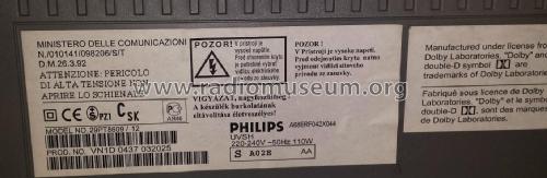 29PT8609 /12 Ch= A02E AA; Philips Hungary, (ID = 1807508) Televisore