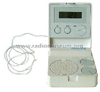 Compass Clock Radio D1858 /02R /03R; Philips; Eindhoven (ID = 585522) Radio