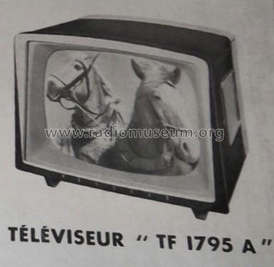 TF1795A; Philips France; (ID = 1765896) Television