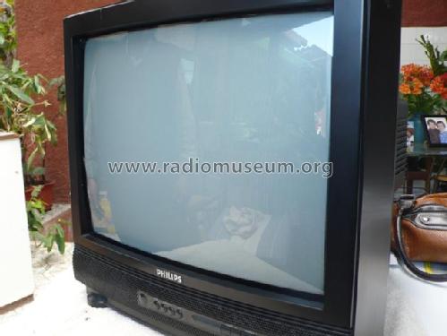 21GR1051 /16B Ch= GR1AX; Philips Italy; (ID = 1653523) Television