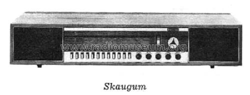 Skaugum 10RB961; Philips Norway Norsk (ID = 2676793) Radio