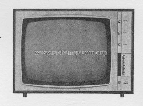 Format 19 Automatic A19T610 /03 Ch= F4; Philips - Österreich (ID = 153878) Television