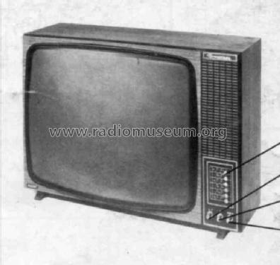 Bremen D24T111 D 24 T 111 Ch=D6N; Philips Radios - (ID = 243634) Television