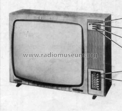 Leonardo L D24T116 D 24 T 116 Ch=D6N; Philips Radios - (ID = 243640) Television