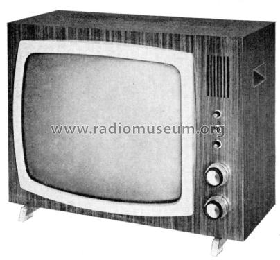 Raffael AS 19TD531A /00 /05; Philips Radios - (ID = 1899413) Television