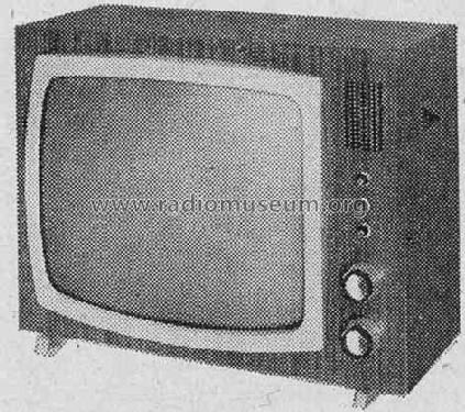 Raffael AS 19TD531A /00 /05; Philips Radios - (ID = 301672) Television