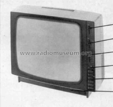 Raffael Luxus 17B321 Ch= E1; Philips Radios - (ID = 245623) Television