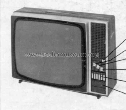 Raffael SL 20B330 Ch= E1; Philips Radios - (ID = 245614) Television