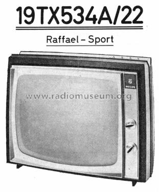 Raffael Sport 19TX534A /22 Ch=F2N; Philips Radios - (ID = 1899553) Television