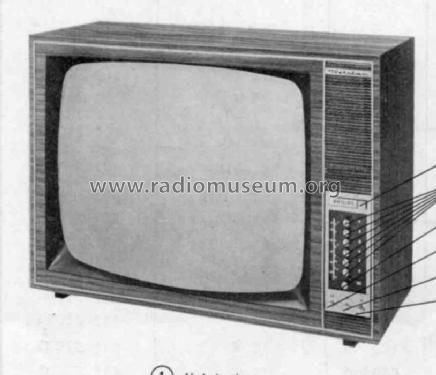 Wetzlar D23T817; Philips Radios - (ID = 245025) Televisión