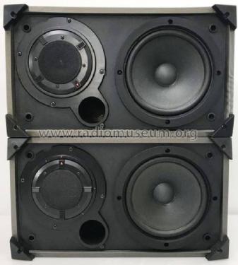 CS-V11; Pioneer Corporation; (ID = 2385967) Speaker-P